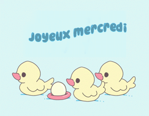 Gif animé Bon mercredi canards